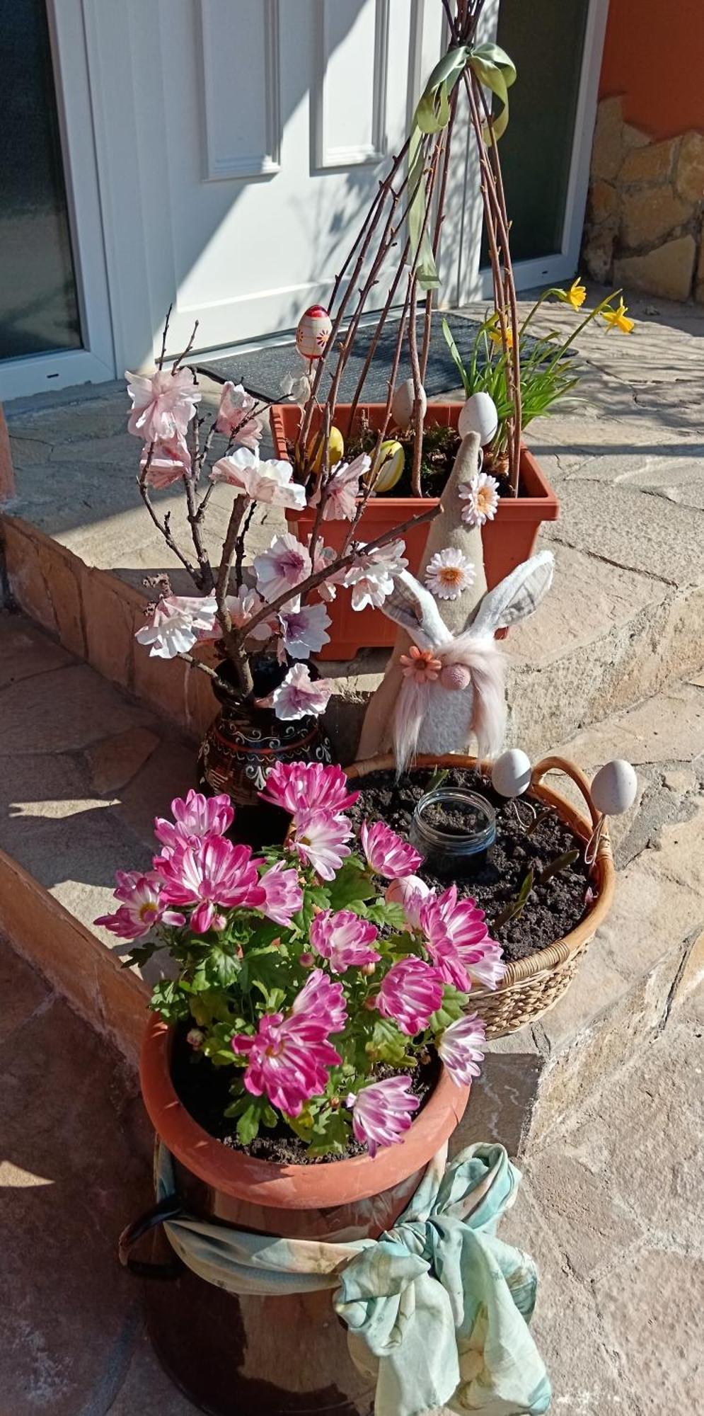 Harsfa Apartman Makó 外观 照片